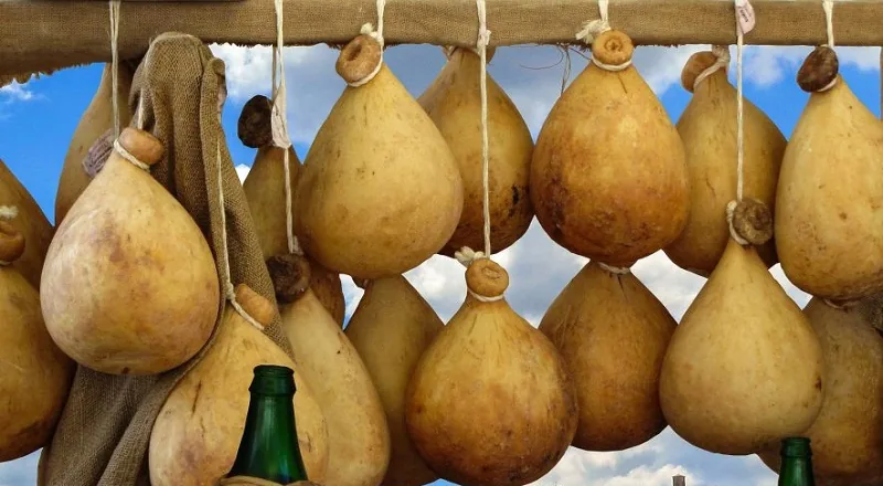 "Caciocavallo"