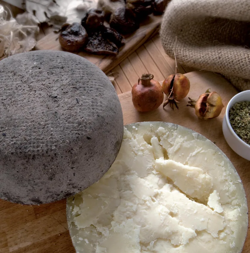 Pecorino "Cinerino"